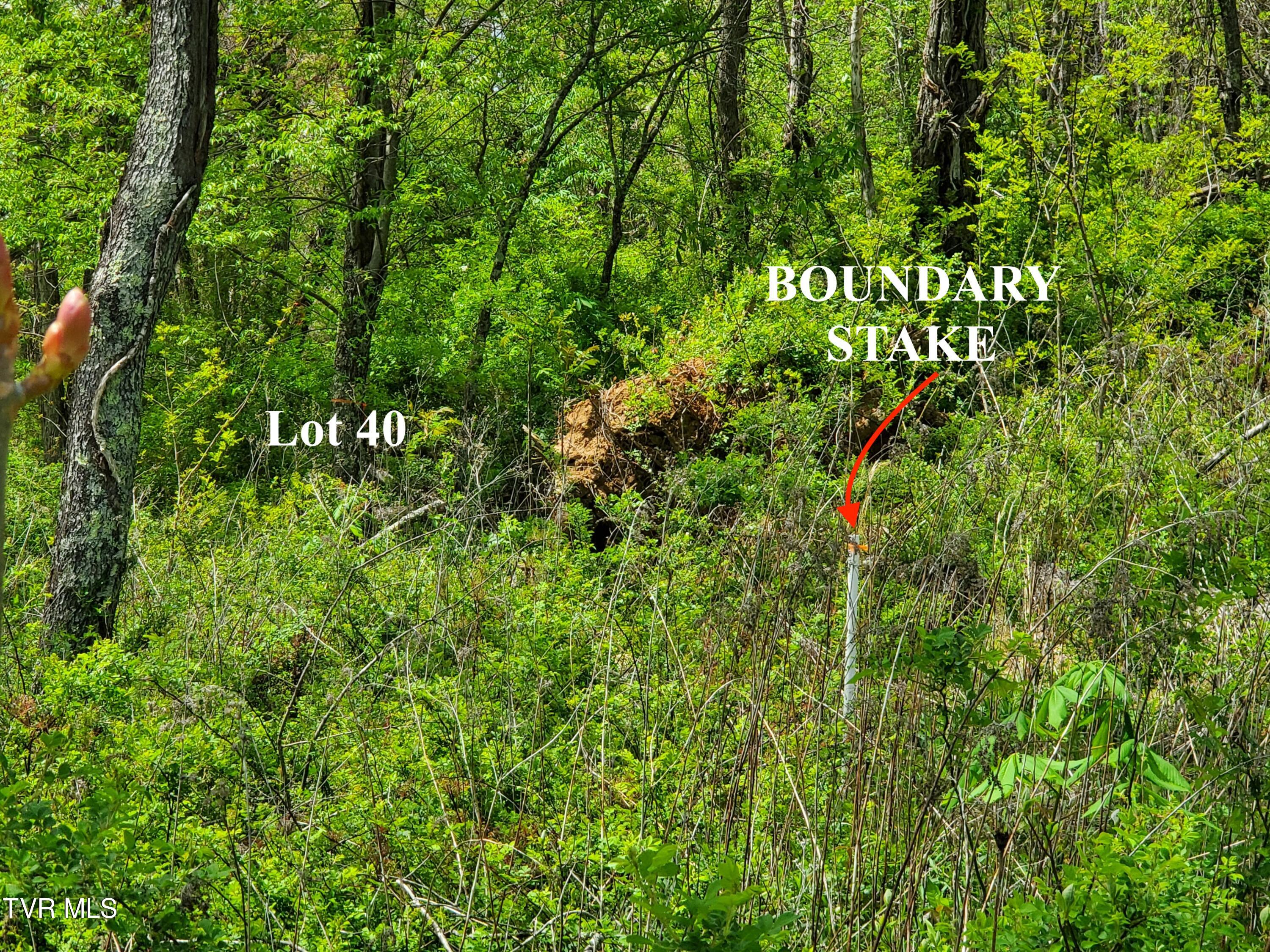 Lot 40 Cowan Town Road, Unit 40 Butler, TN 37640 - Photo 55 of 117 19