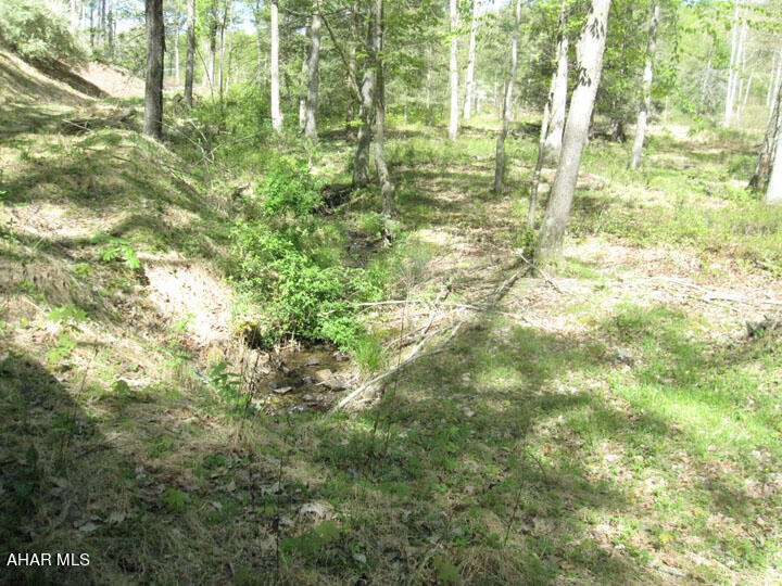Off North Silver Pine Road Petersburg, PA 16669 - Photo 22 of 29 Gallery Image 22