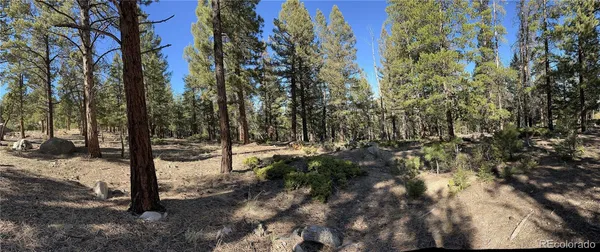 a view of outdoor space with trees