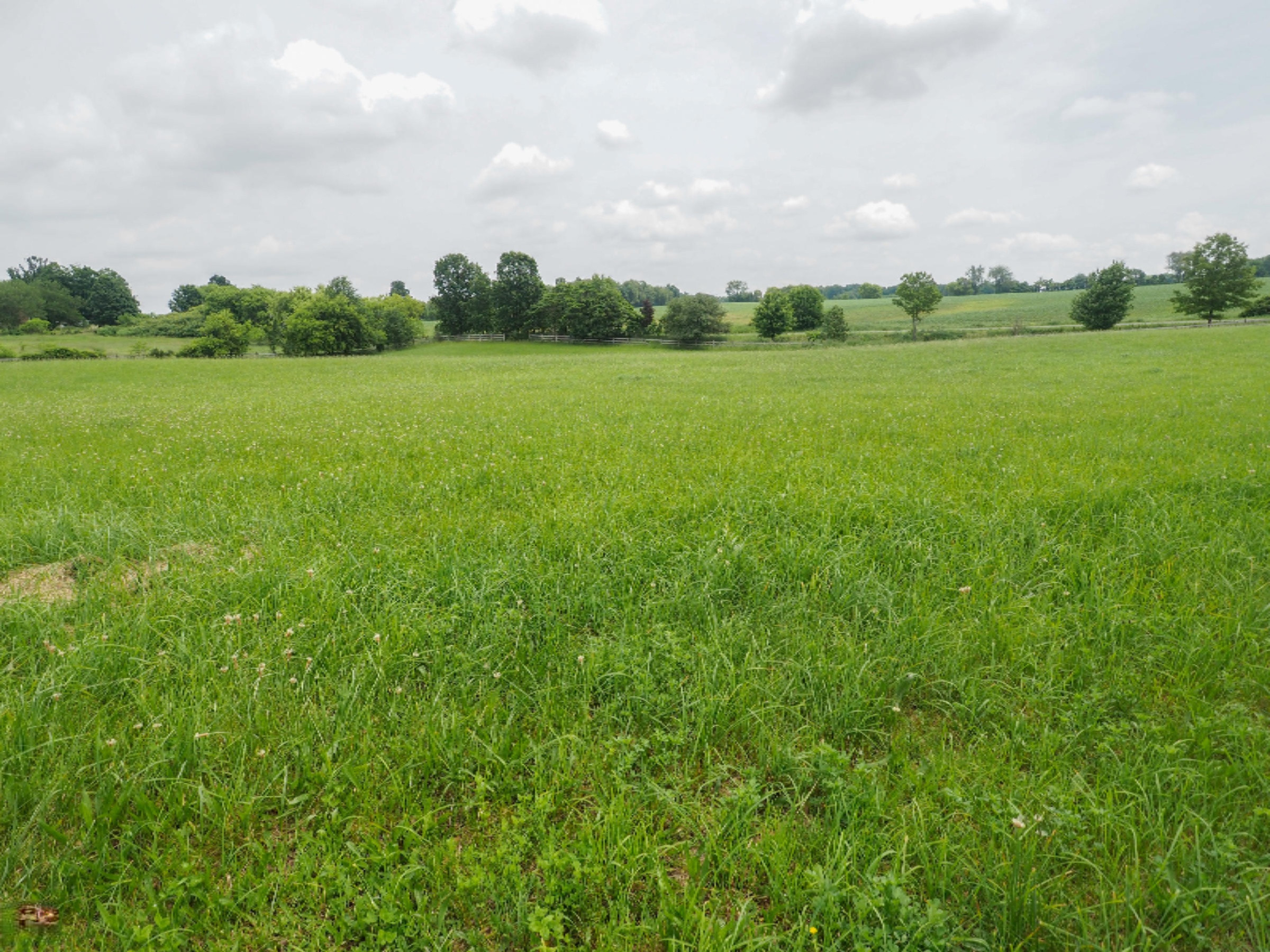 14610 Lockshore Road Hickory Corners, MI 49060 - Photo 54 of 67 14610 Lockshore Rd-153