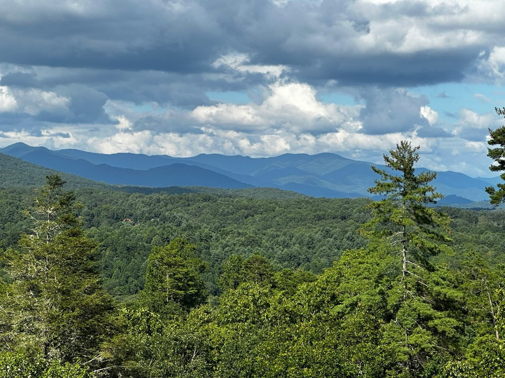 455 Point Overlook Trail Murphy, NC 28906 - Photo 52 of 56
