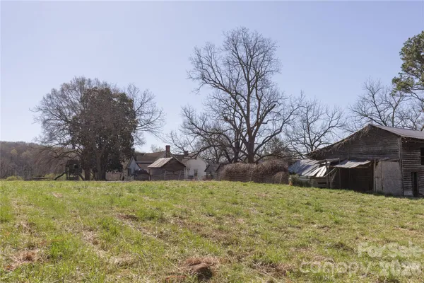 a view of yard with large trees