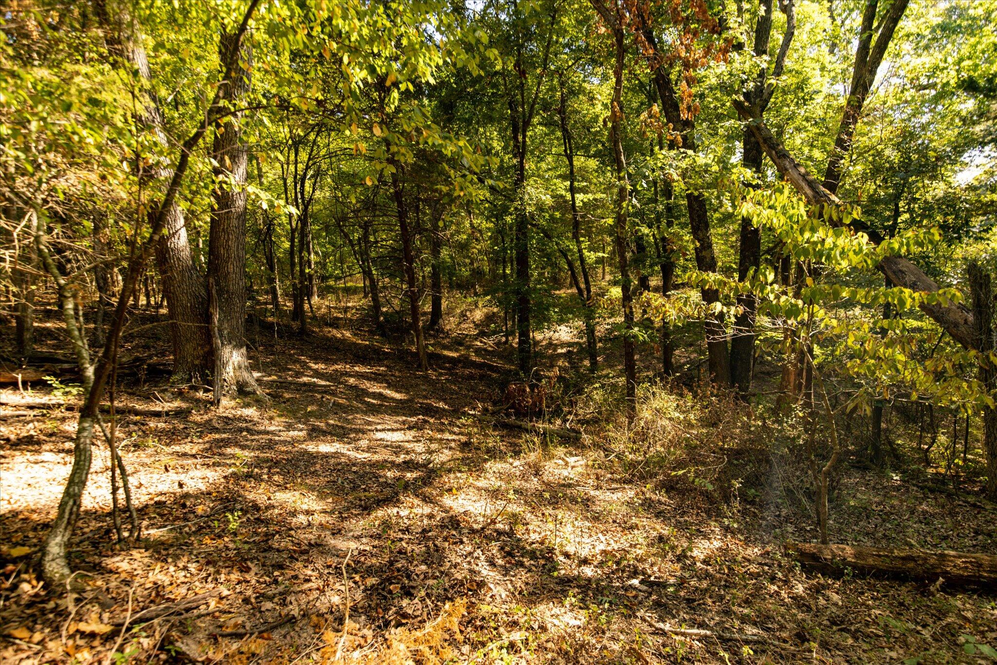 0 Watts Road Rogersville, MO 65742 - Photo 26 of 51 26-HT9A5655