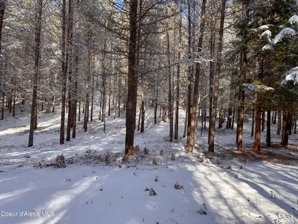 $229,000 | 1599 Saddleback Drive, Bonners Ferry, ID 83805