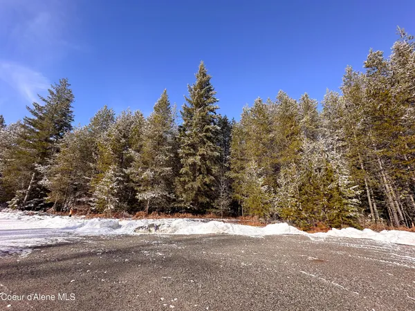 $229,000 | 1599 Saddleback Drive, Bonners Ferry, ID 83805