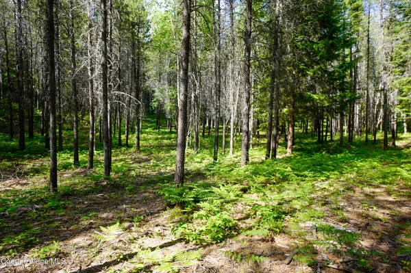 $229,000 | 1599 Saddleback Drive, Bonners Ferry, ID 83805