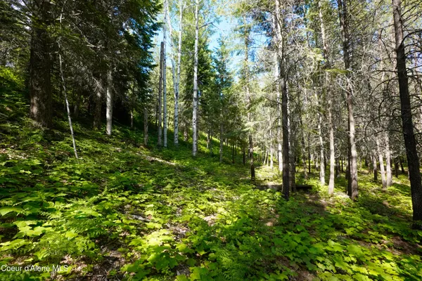 $229,000 | 1599 Saddleback Drive, Bonners Ferry, ID 83805