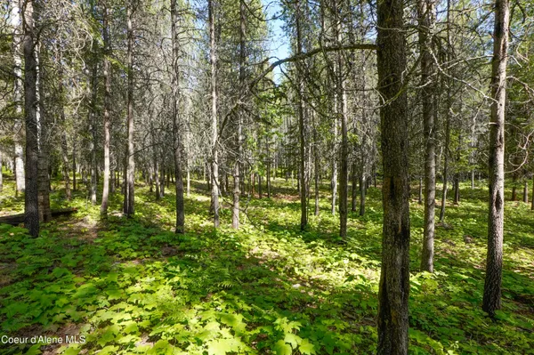 $229,000 | 1599 Saddleback Drive, Bonners Ferry, ID 83805