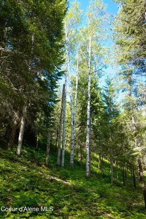 $229,000 | 1599 Saddleback Drive, Bonners Ferry, ID 83805