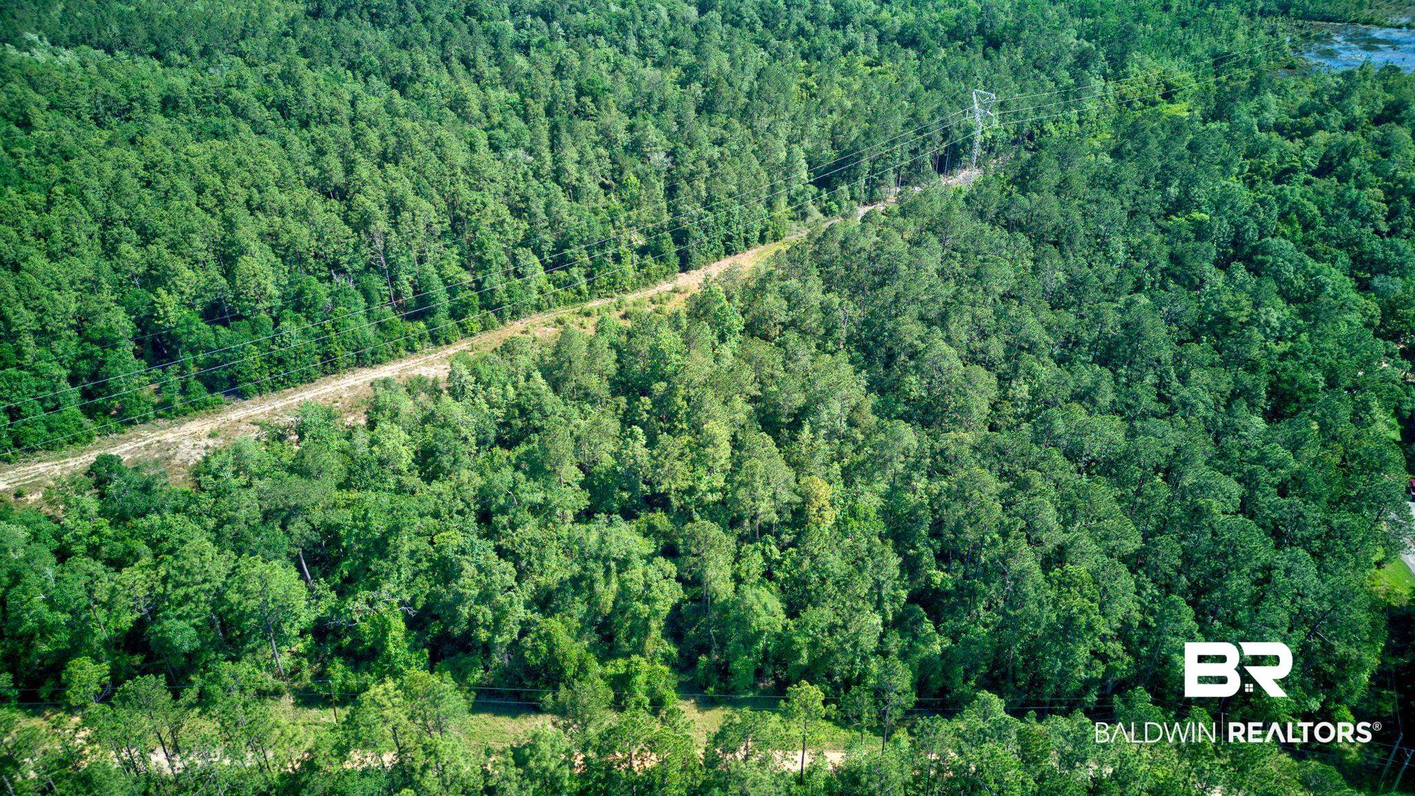 0 Evans Road Chunchula, AL 36521 - Photo 1 of 19