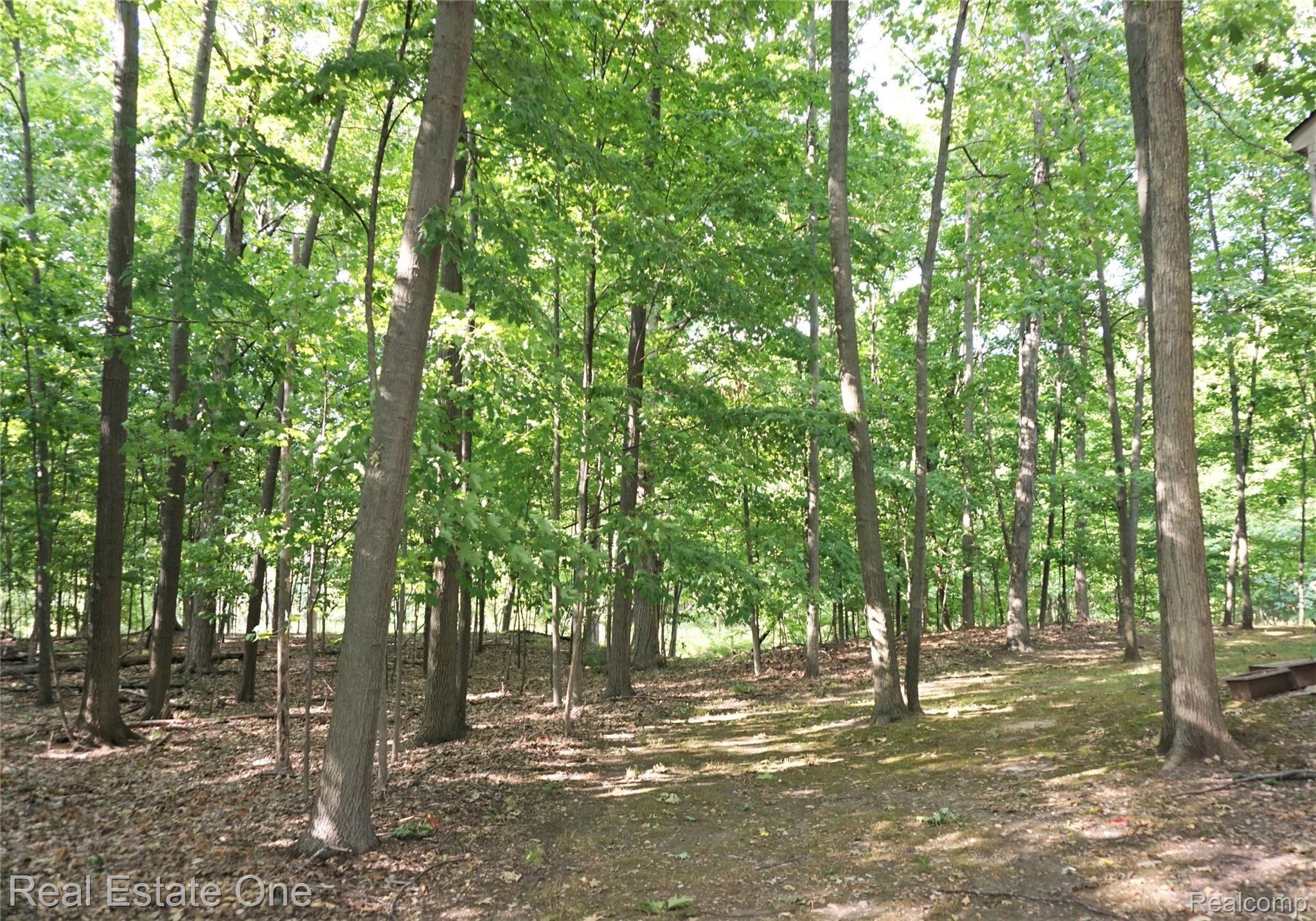 1506 Streamwood Court Rochester, MI 48309 - Photo 26 of 26 DSC03745 - Copy (3).JPG