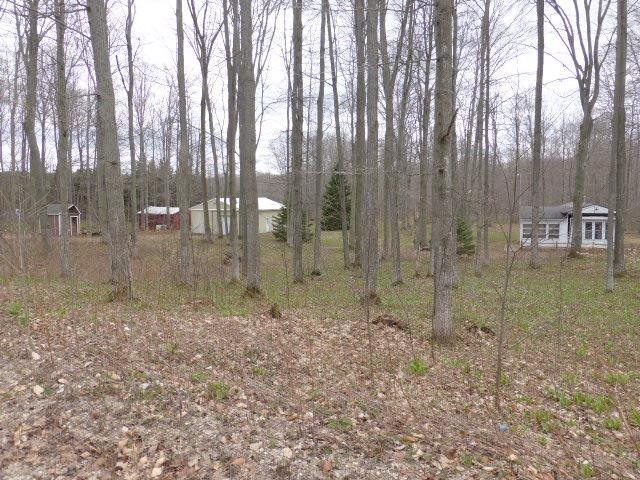 23753 Valencourt Road Copemish, MI 49625 - Photo 33 of 40 1783500-32.JPG