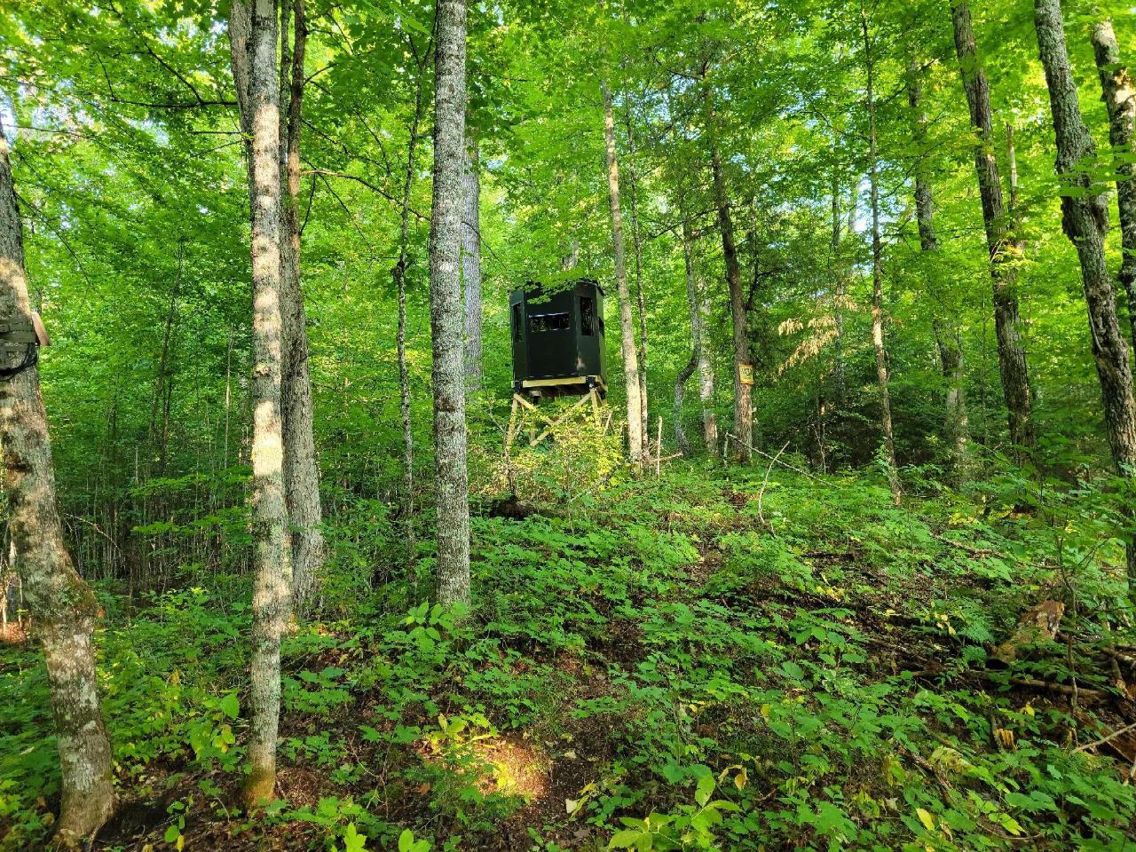 Lot 21 Many Rock Road Mercer, WI 54547 - Photo 10 of 17 Gallery Image 10