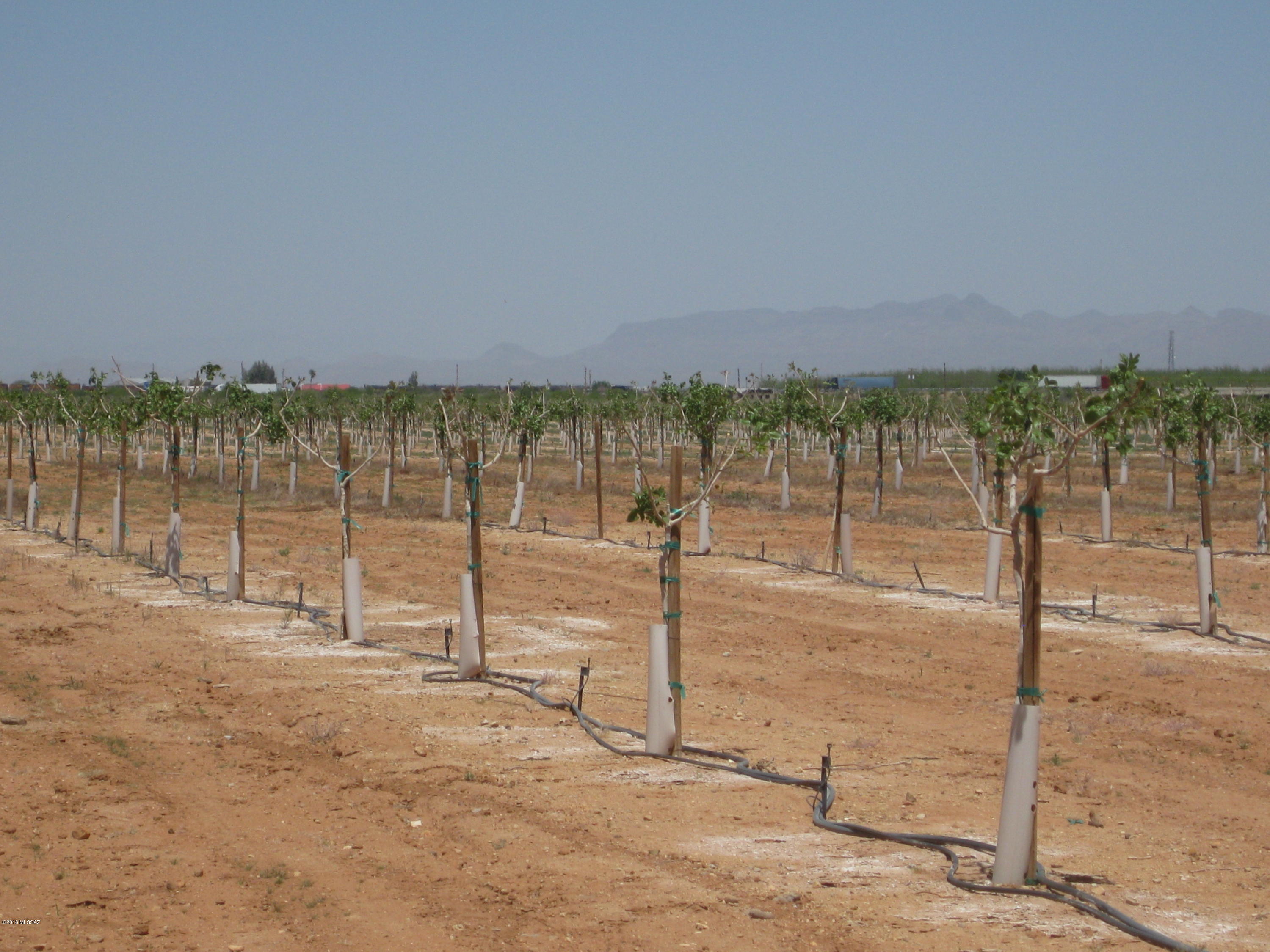 West Roberts Farm Road Bowie, AZ 85605 - Photo 6 of 8