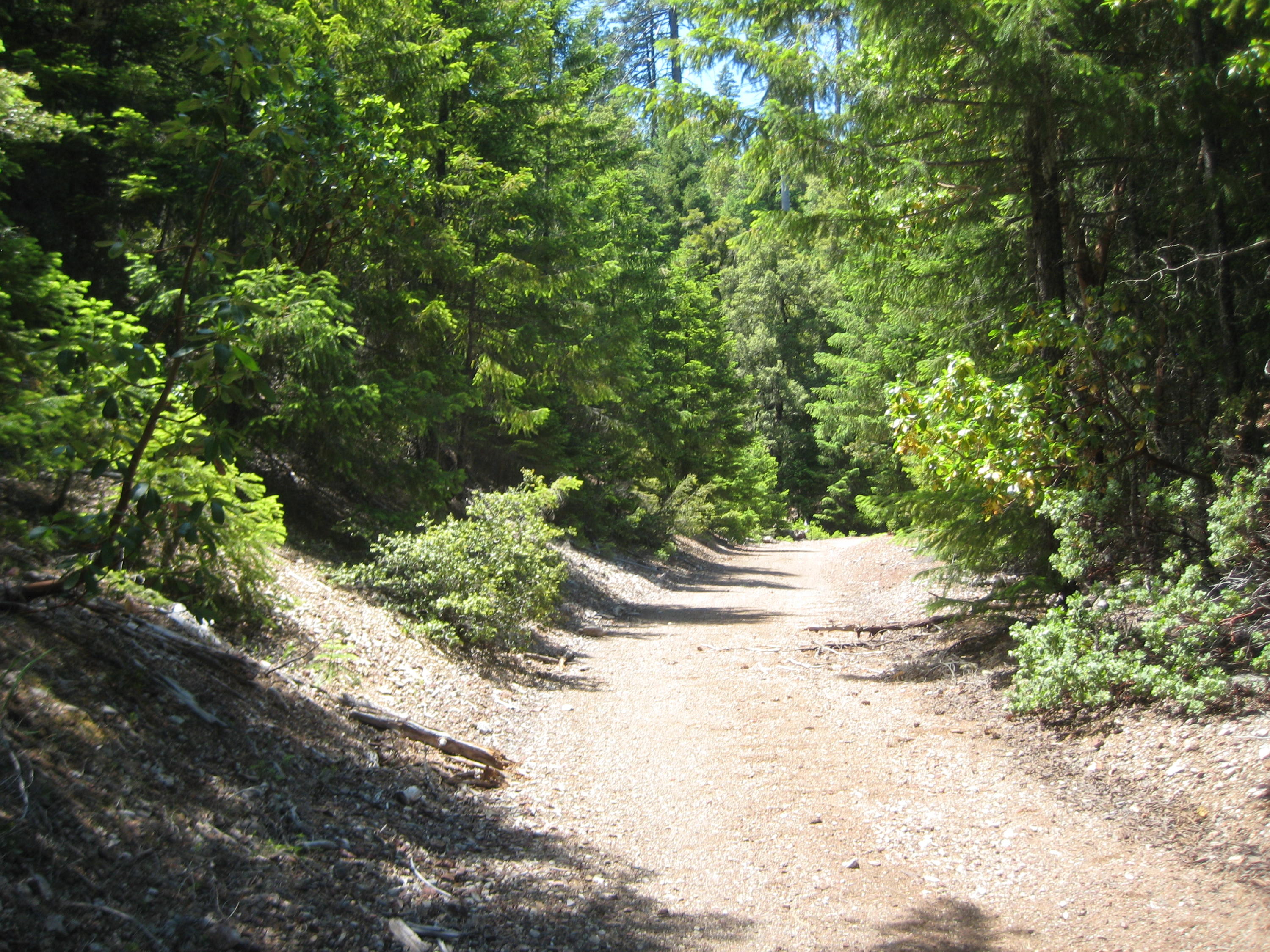 1.7 M Forest Hyampom, CA 96046 - Photo 4 of 6