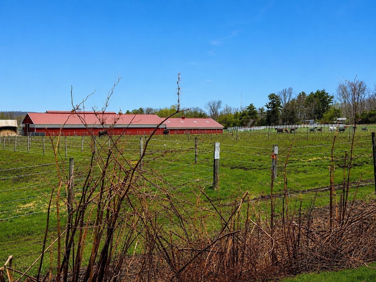 92 Quarry Hill Road, Unit 11 South Burlington, VT 05403 - Photo 21 of 23