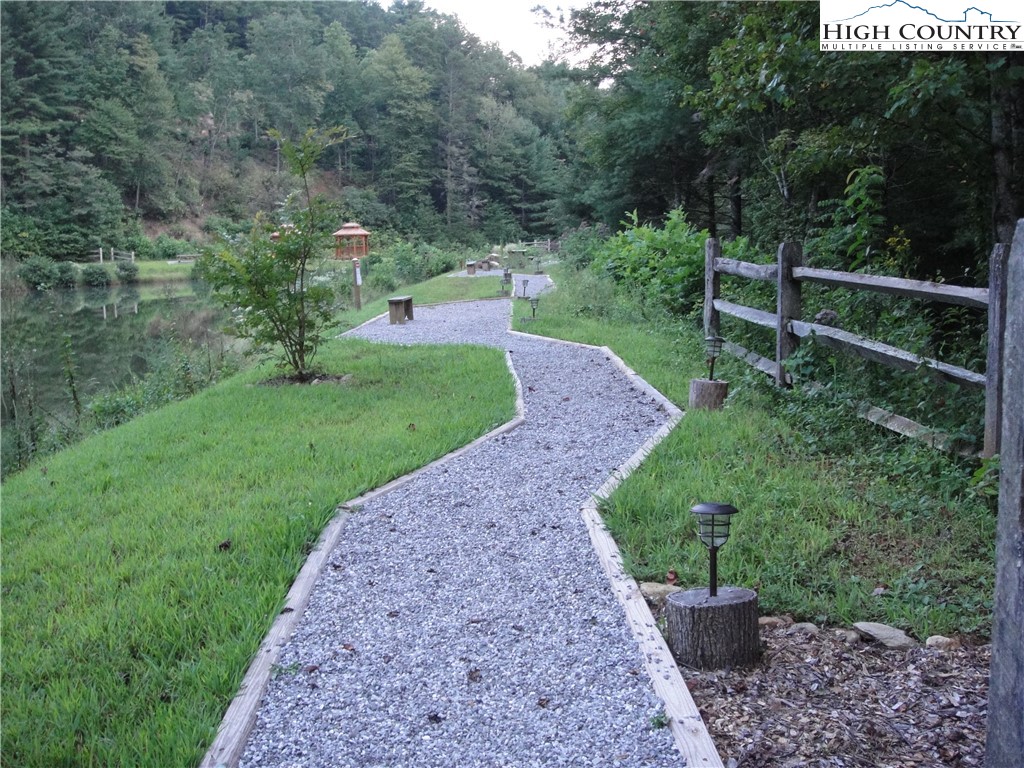 Lot 17 Wolf Pen Road Purlear, NC 28665 - Photo 14 of 25 a view of a garden with a tree