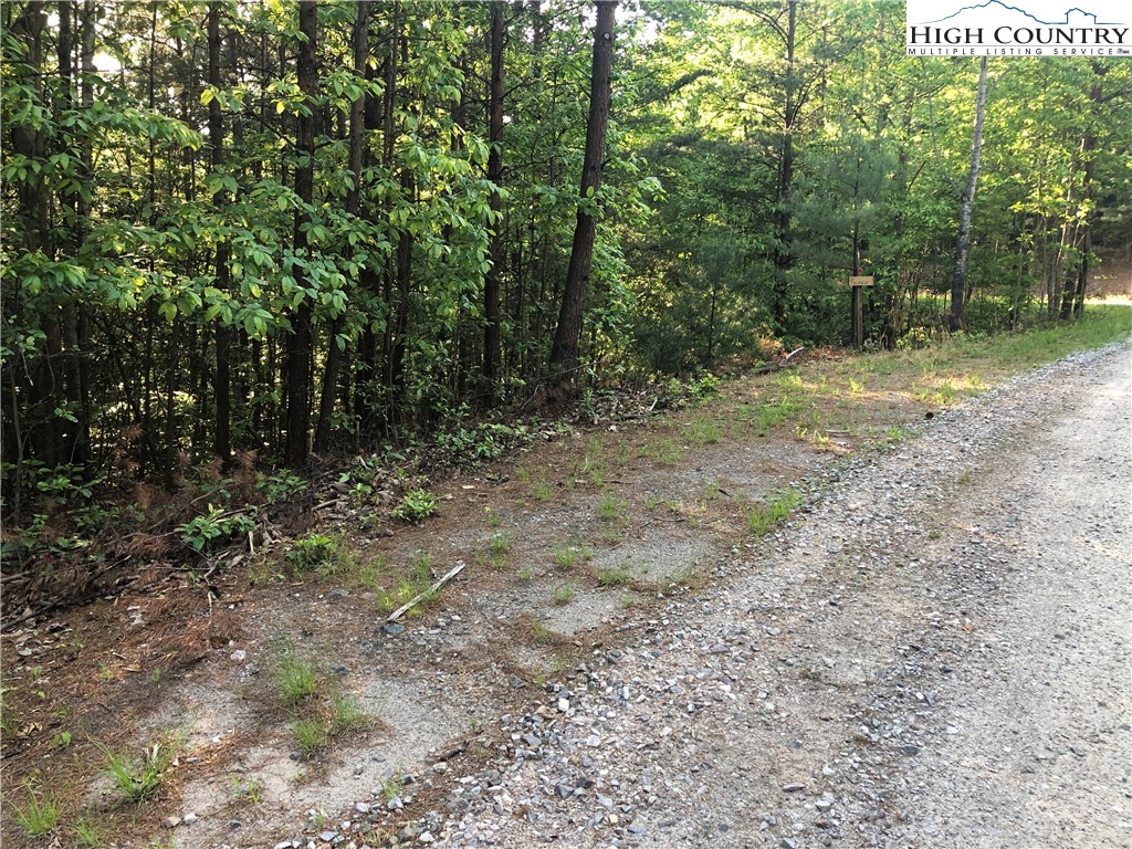Lot 17 Wolf Pen Road Purlear, NC 28665 - Photo 4 of 25 a view of a forest with trees in the background