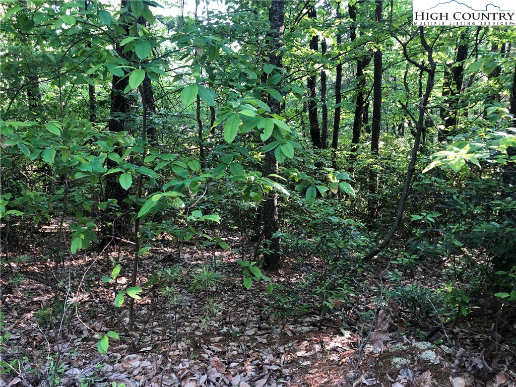 Lot 17 Wolf Pen Road Purlear, NC 28665 - Photo 7 of 25 a view of a garden