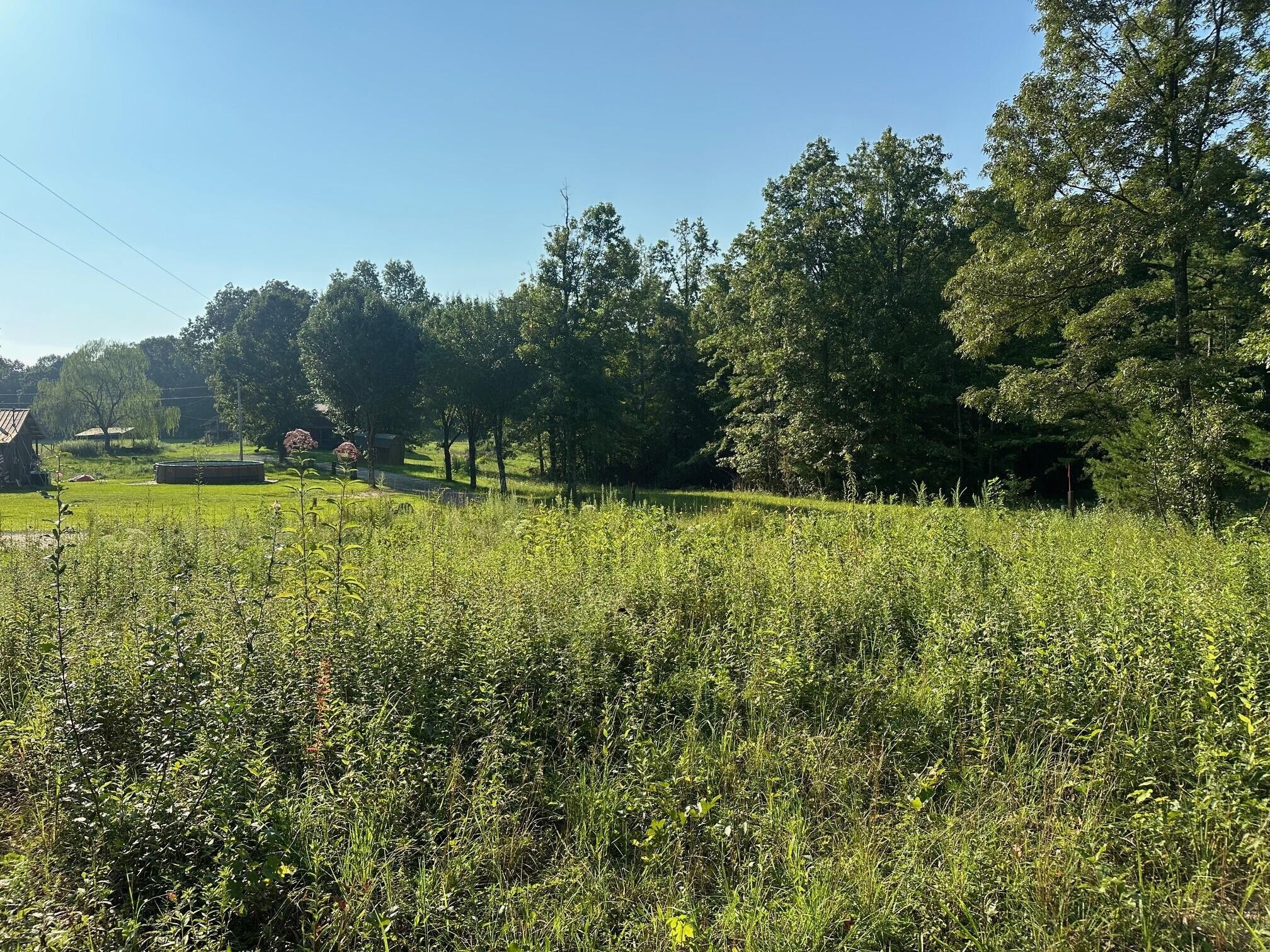 14 Prater Road Pikeville, TN 37367 - Photo 1 of 22 Gallery Image 1
