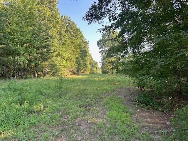 14 Prater Road Pikeville, TN 37367 - Photo 12 of 22 Gallery Image 12