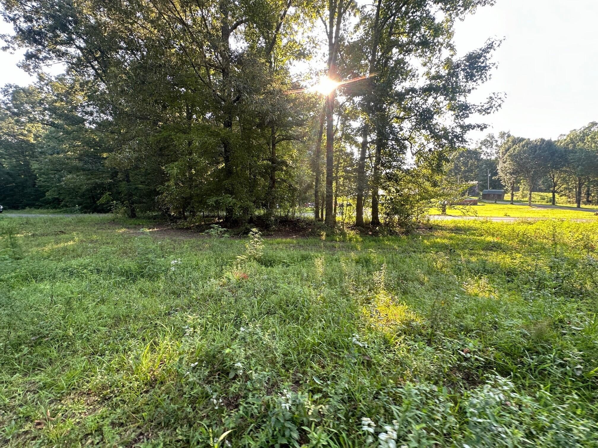 14 Prater Road Pikeville, TN 37367 - Photo 2 of 22 Gallery Image 2