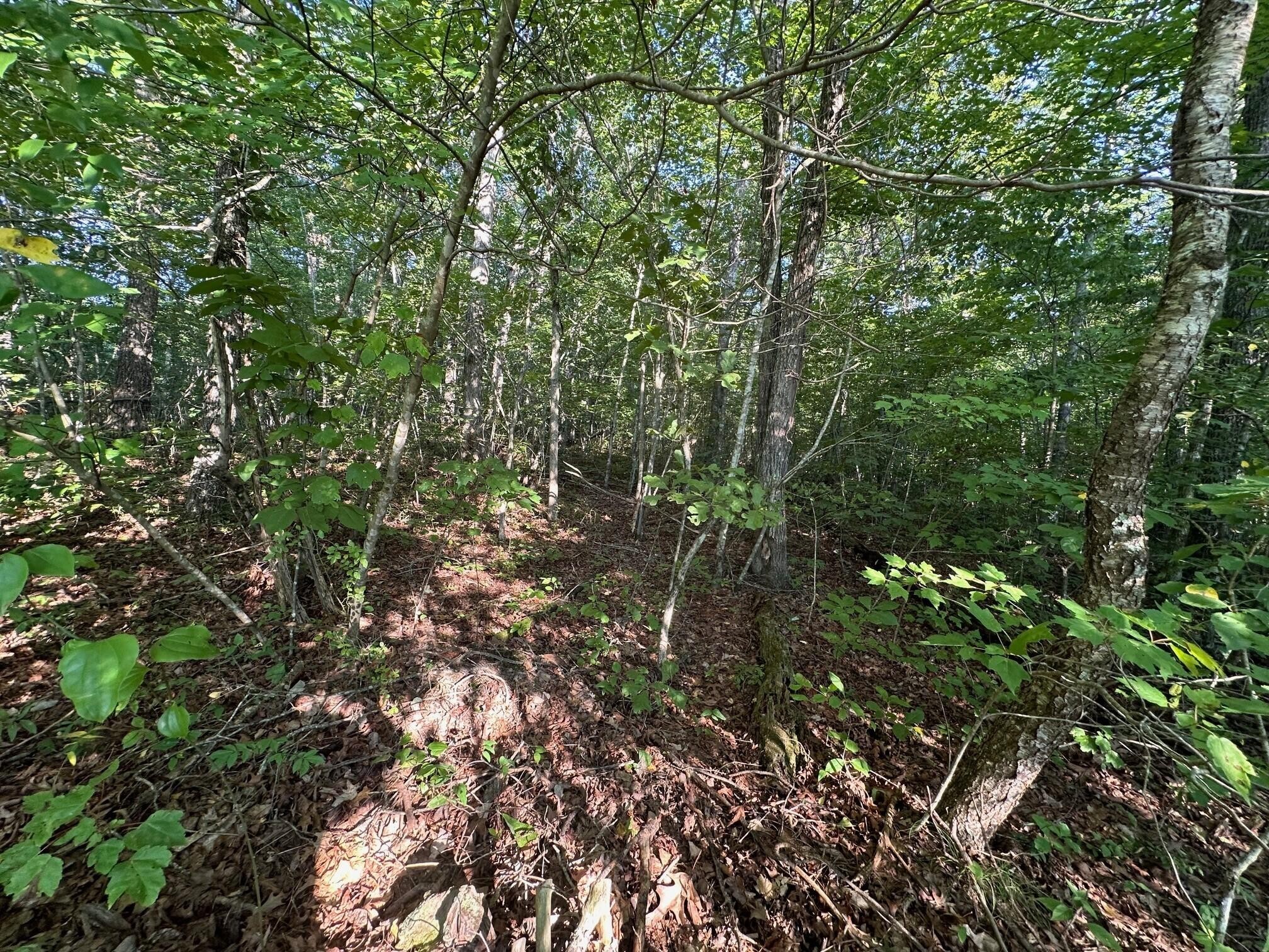 14 Prater Road Pikeville, TN 37367 - Photo 21 of 22 Gallery Image 21