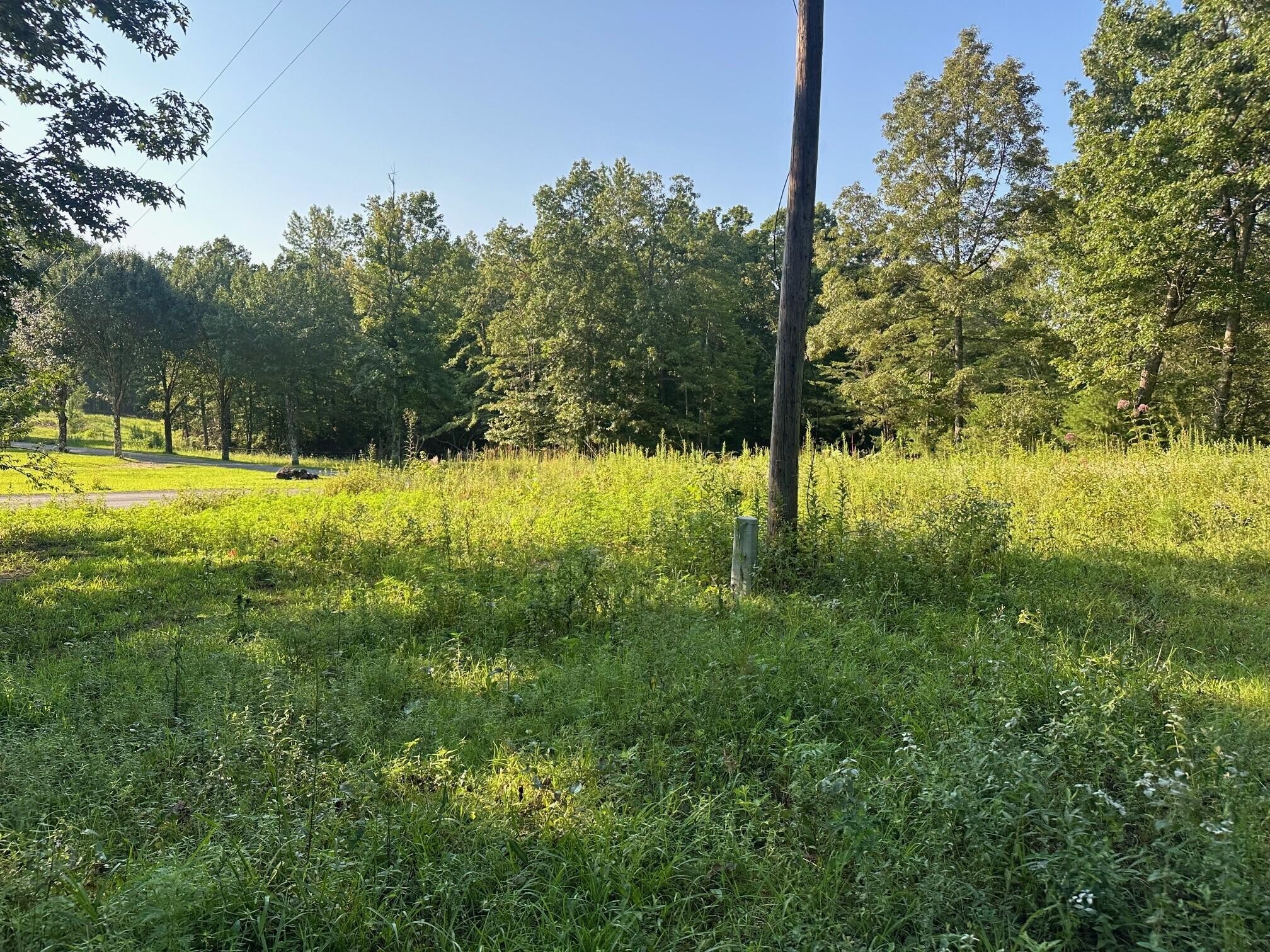 14 Prater Road Pikeville, TN 37367 - Photo 3 of 22 Gallery Image 3