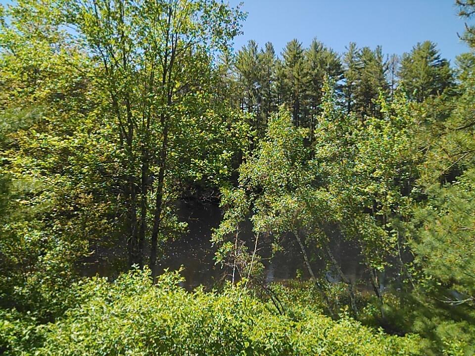 214 Lake Sherburne Road Waterboro, ME 04087 - Photo 18 of 50 IMG_20220606_095710_tmp