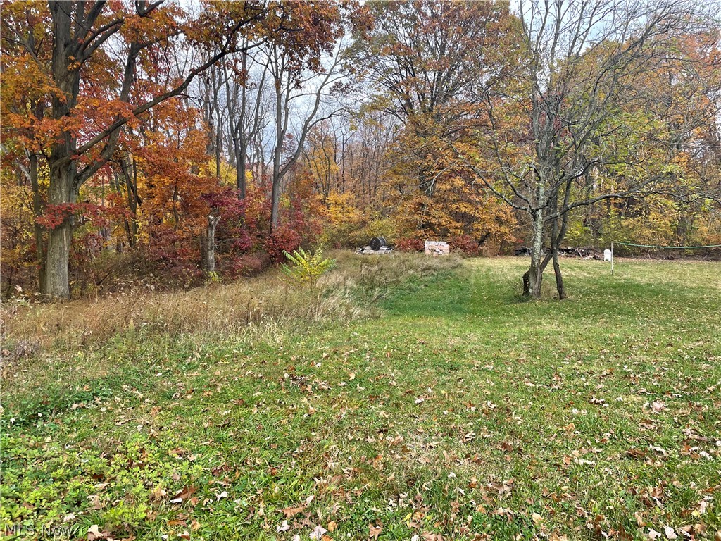 1799 Wilson Road Akron, OH 44312 - Photo 5 of 5