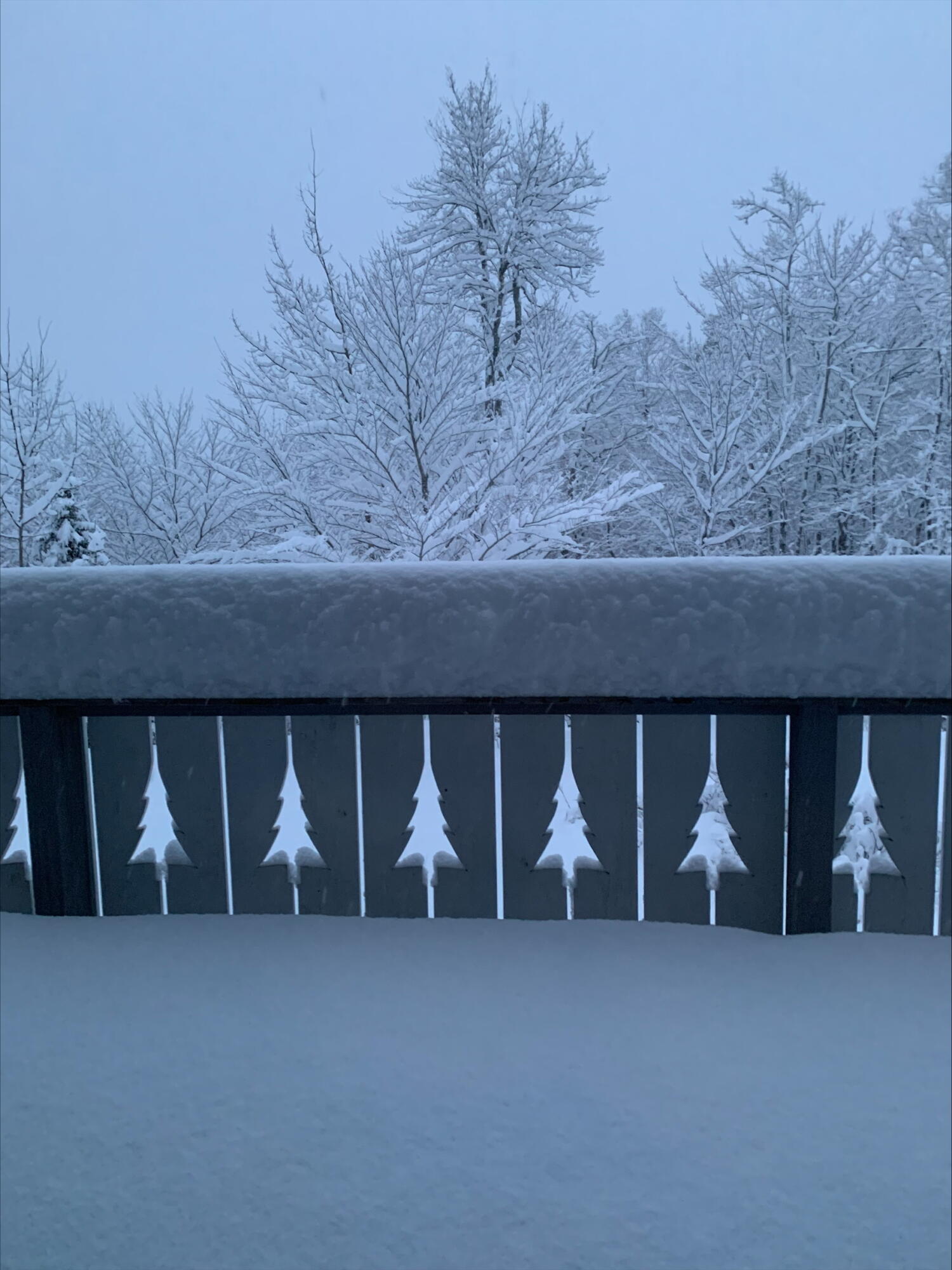 93 Nordic Knoll Road Newry, ME 04261 - Photo 54 of 65 processed-FA91E2DF-F7D9-49CE-87D0-D9D5EF