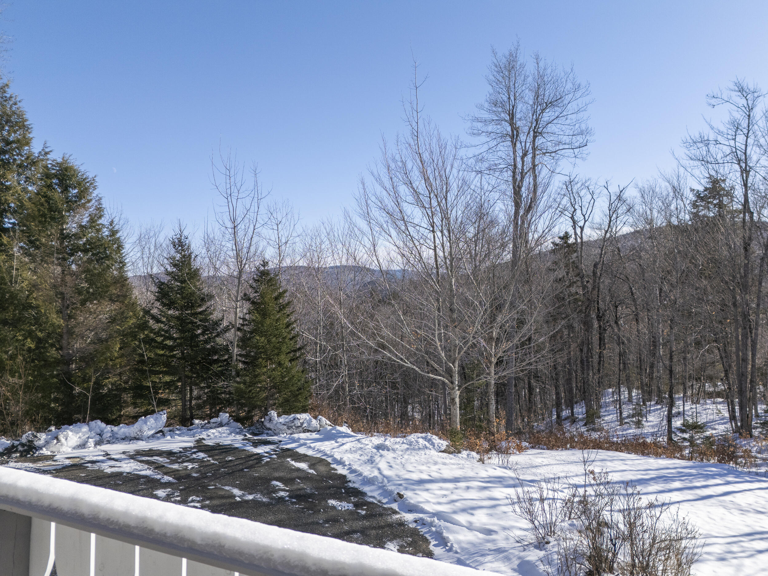 93 Nordic Knoll Road Newry, ME 04261 - Photo 60 of 65 93nordicsnowext-15