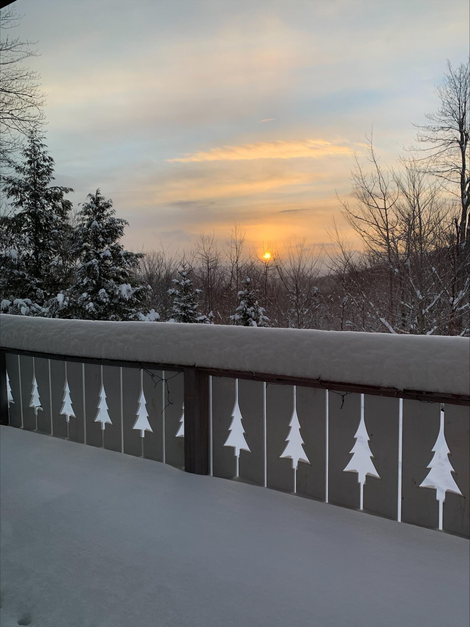 93 Nordic Knoll Road Newry, ME 04261 - Photo 64 of 65 processed-1A9068BF-75AC-4D01-95AA-C1F80D