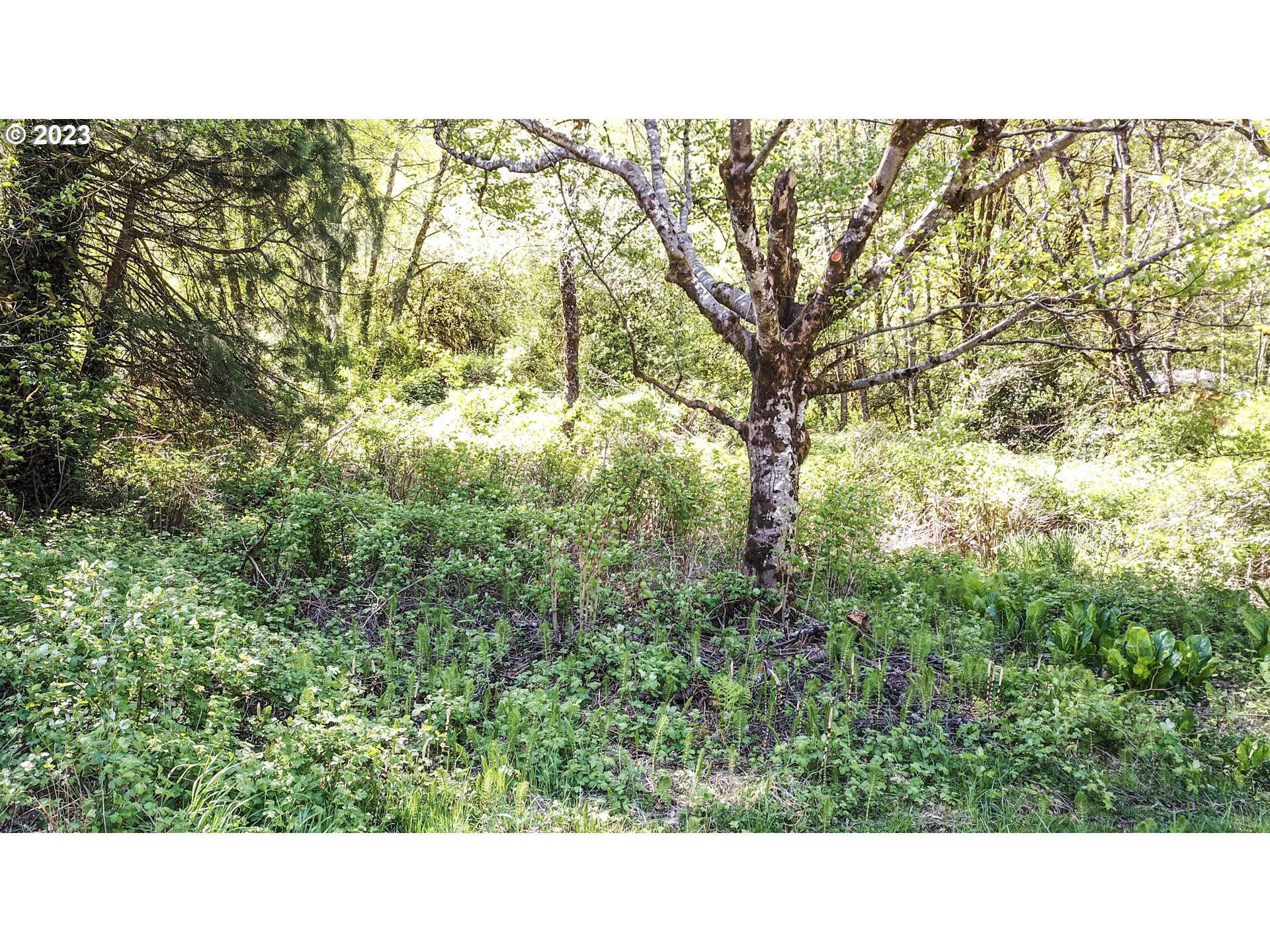 58840 Highway 26 Sandy, OR 97055 - Photo 19 of 24 Gallery Image 19