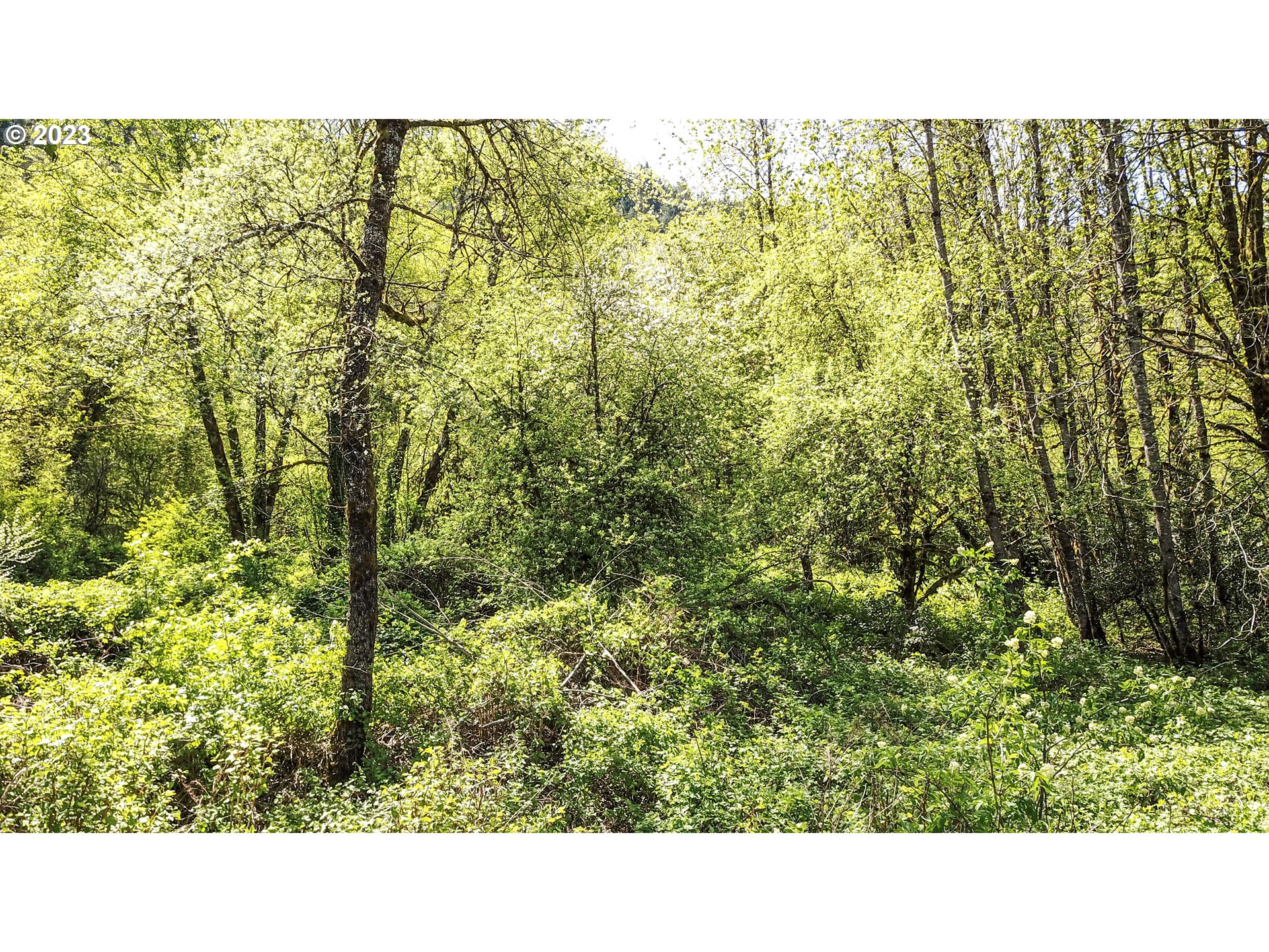 58840 Highway 26 Sandy, OR 97055 - Photo 22 of 24 Gallery Image 22