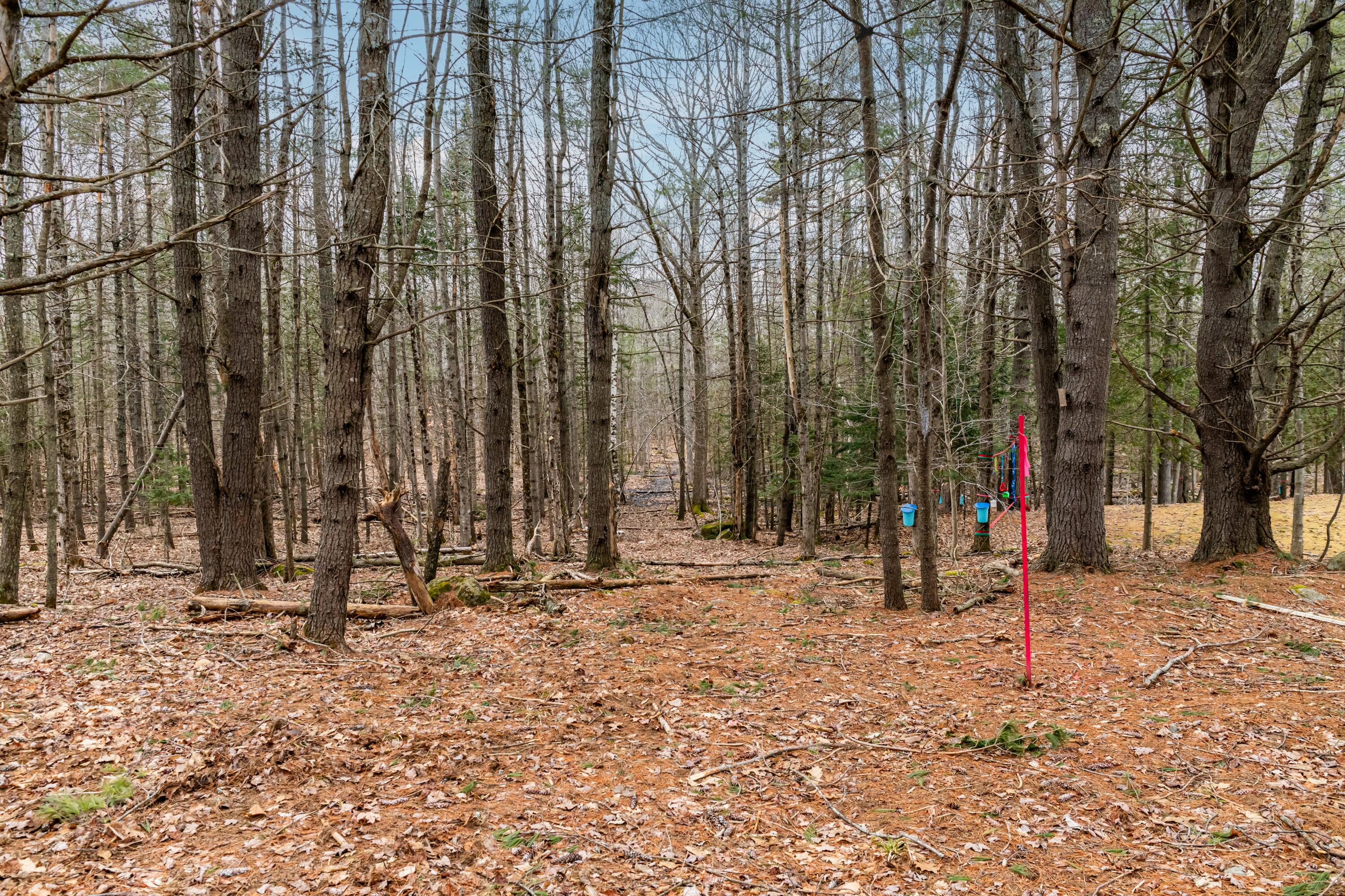 345 Wiswell Road Brewer, ME 04412 - Photo 37 of 41 345 Wiswell Road Exteriors and Interiors