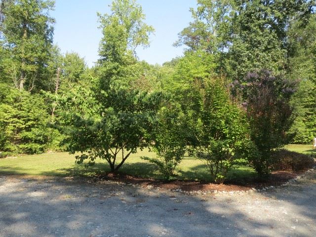 31 Coffeys Road Farmville, VA 23901 - Photo 15 of 15 a view of a yard with plants and trees