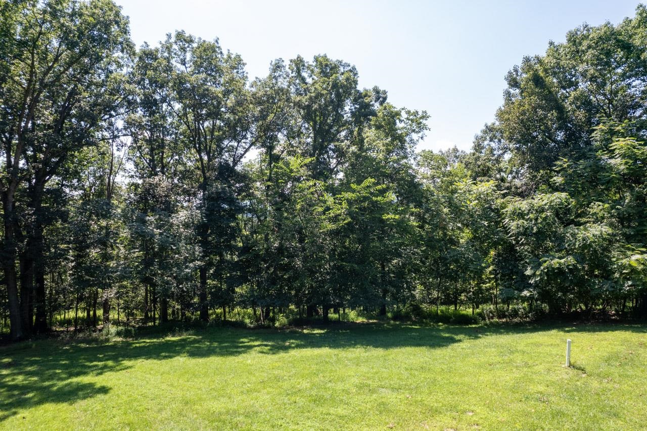 18408 Mechanicsville Road Timberville, VA 22853 - Photo 6 of 23 Gallery Image 6