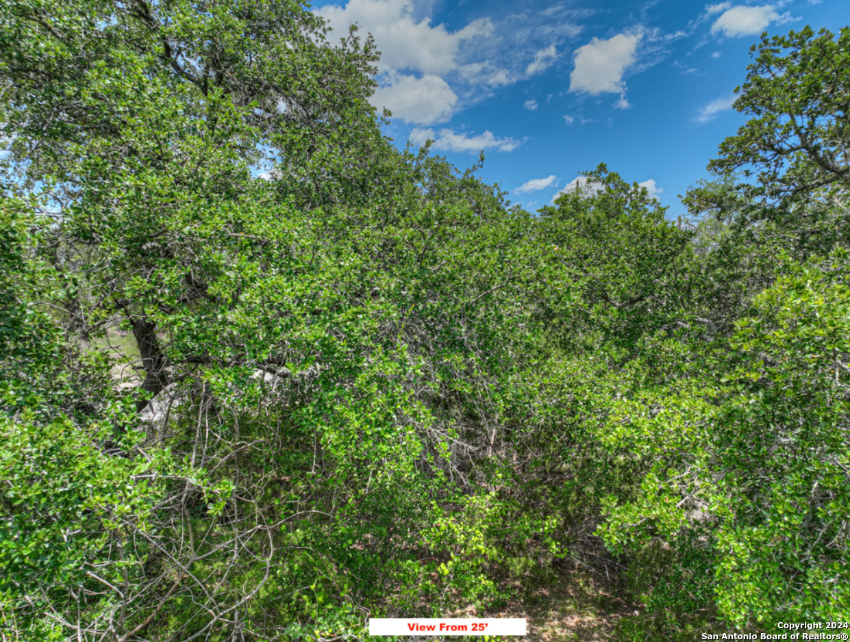 0 Contour Drive Spring Branch, TX 78070 - Photo 15 of 21 Gallery Image 15