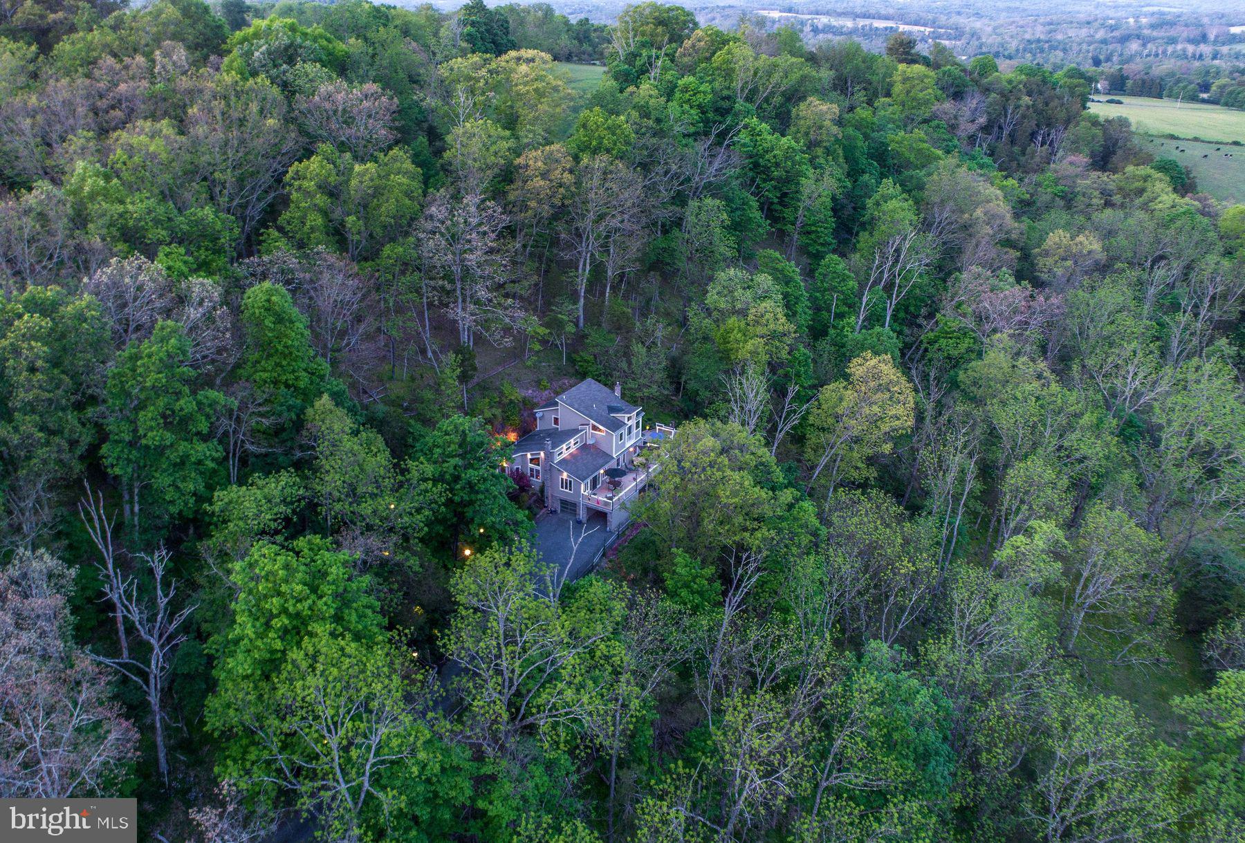 272 Headquarters Road Erwinna, PA 18920 - Photo 6 of 68