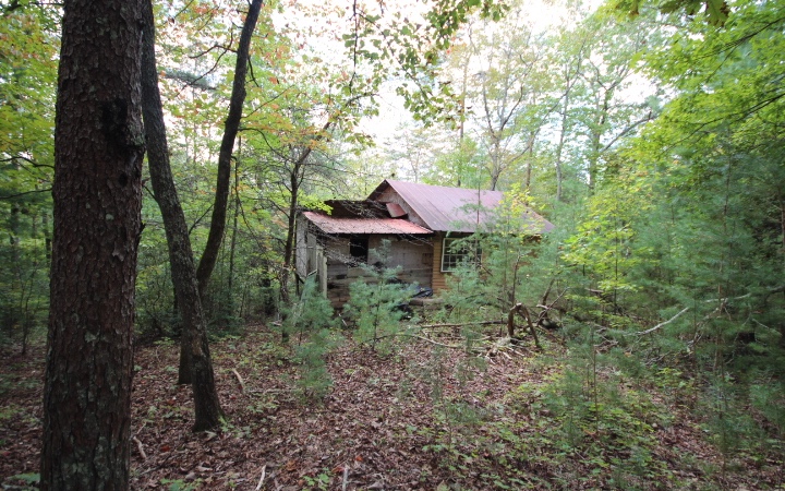 0 Smallwood Road Ellijay, GA 30536 - Photo 1 of 1 Main View