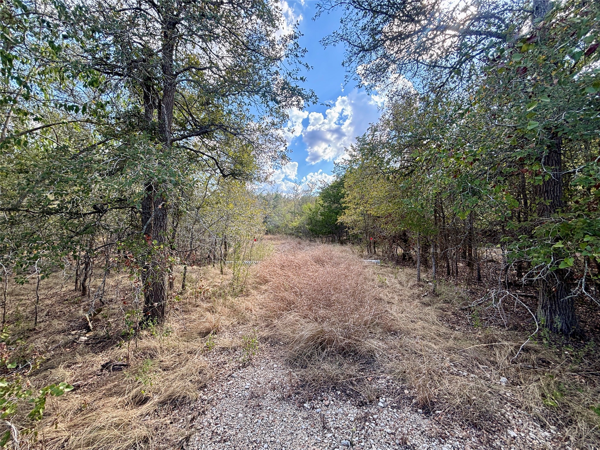 Tbd Bateman Road Red Rock, TX 78662 - Photo 1 of 16 Gallery Image 1