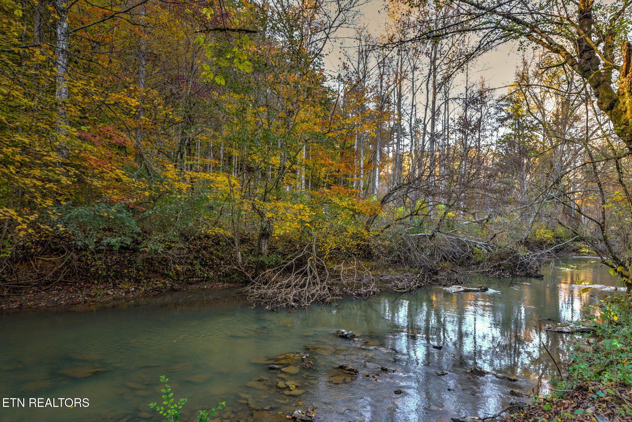 333 Frost Bottom Road Oliver Springs, TN 37840 - Photo 3 of 14 Gallery Image 3