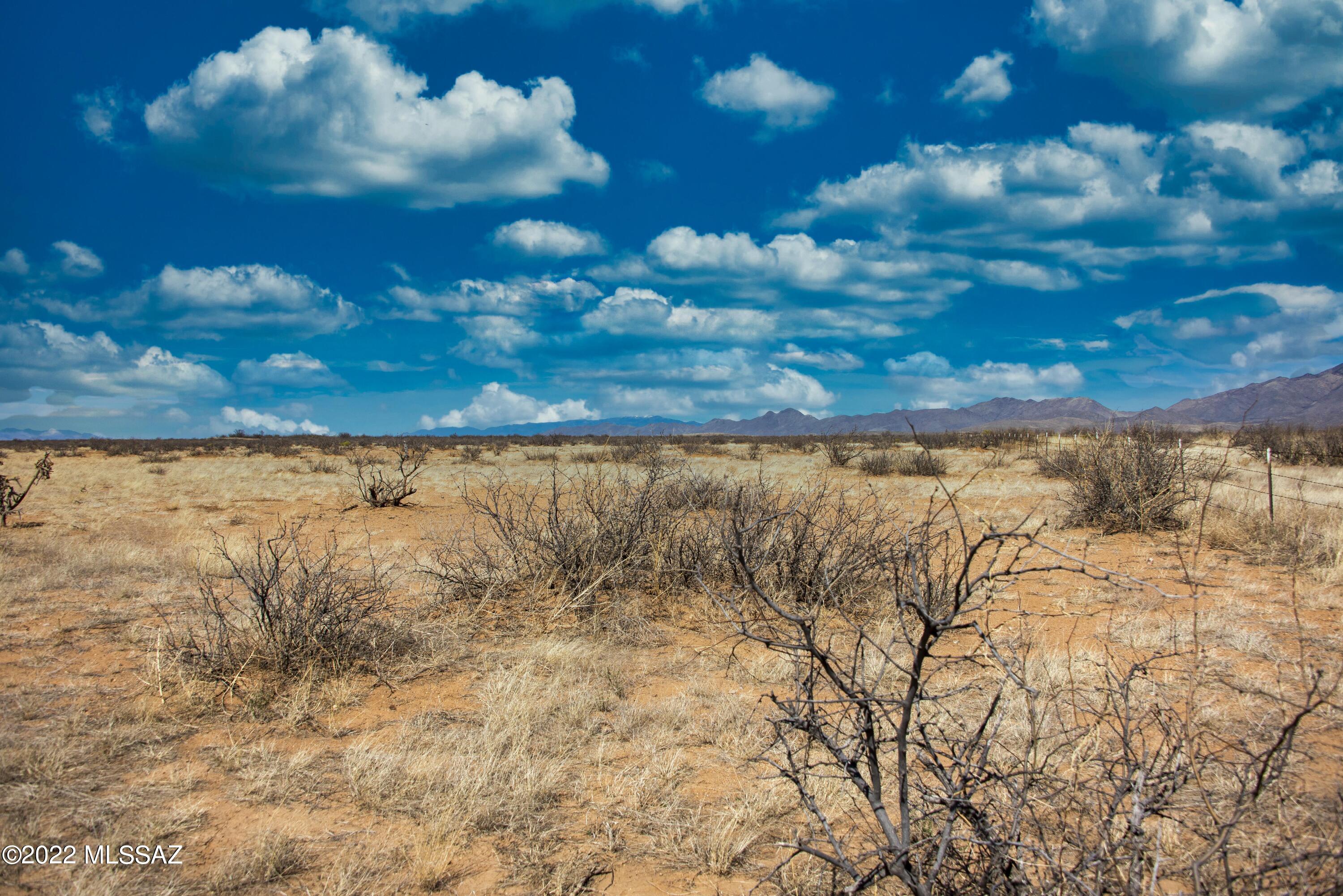 Tbd East Arzberger Road Willcox, AZ 85643 - Photo 4 of 17