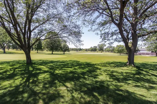 a view of yard with large trees