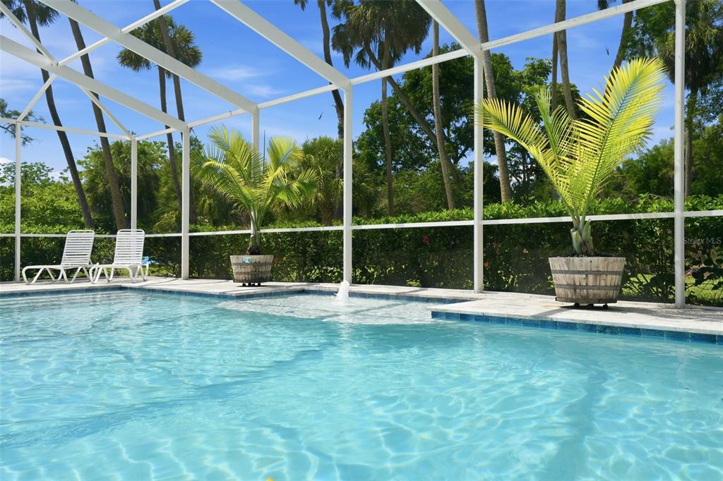 5539 Delaware Avenue New Port Richey, FL 34652 - Photo 40 of 50 Gallery Image 40