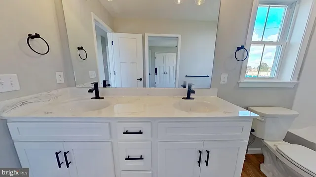 a bathroom with a sink vanity and toilet