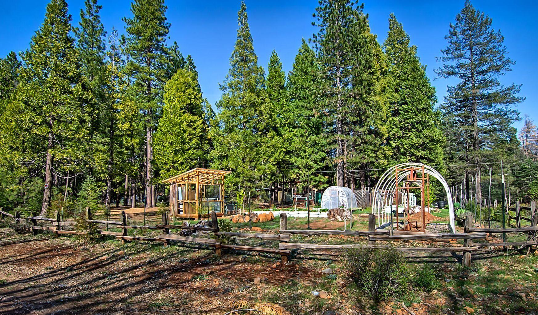 7555 Joda Road Shingletown, CA 96088 - Photo 25 of 26 26