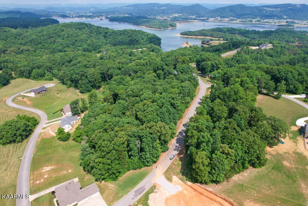 1937 Turner Landing Road Russellville, TN 37860 - Photo 11 of 19 607121_11