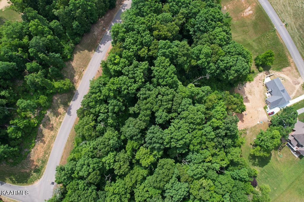 1937 Turner Landing Road Russellville, TN 37860 - Photo 14 of 19 607121_14